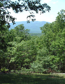 view from mountain